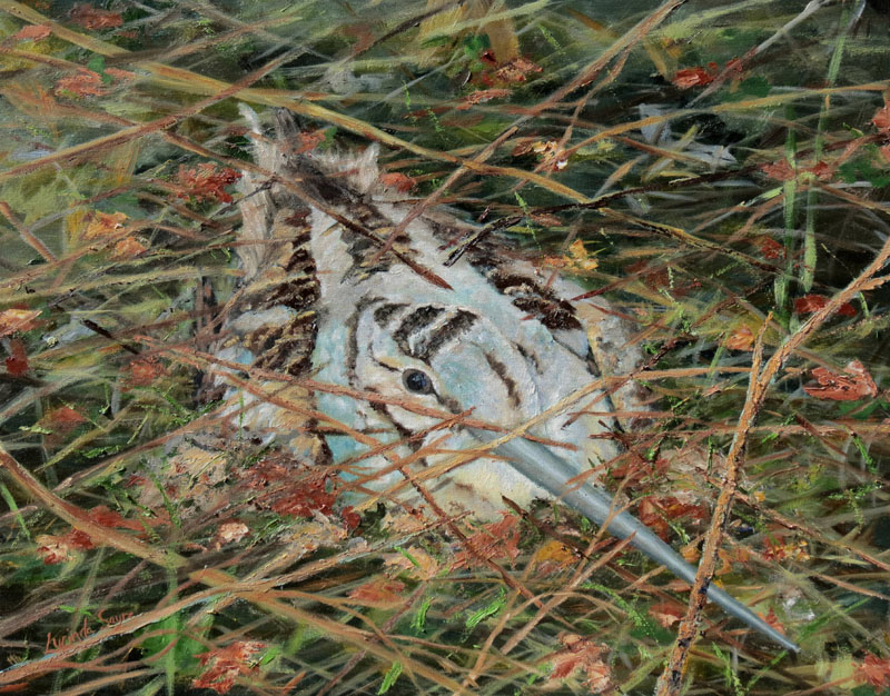 American Woodcock