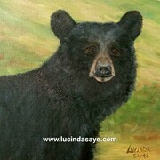 Bear Portrait (print)