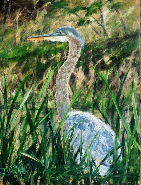 Blue Heron