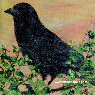 Crow