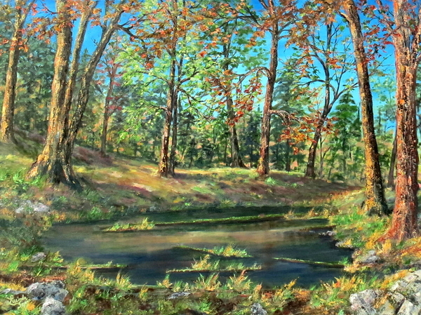 Pond Among The Forest