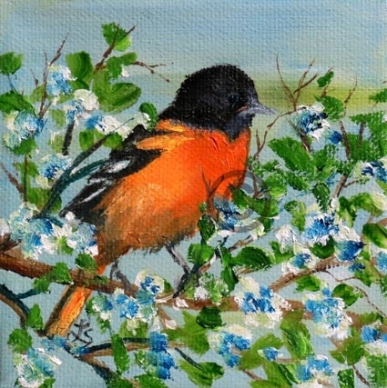 Baltimore Oriole II