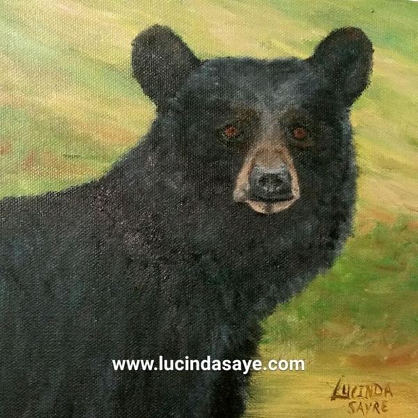 Bear Portrait