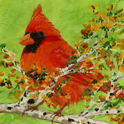 Male Cardinal 818