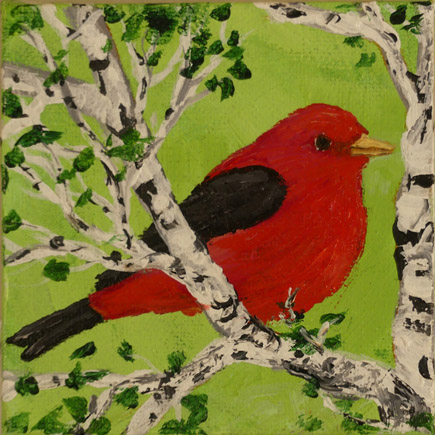 Scarlet Tanager 818