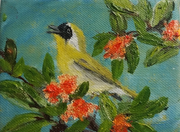 Common Yellowthroat