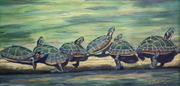Sun Bathing Turtles
