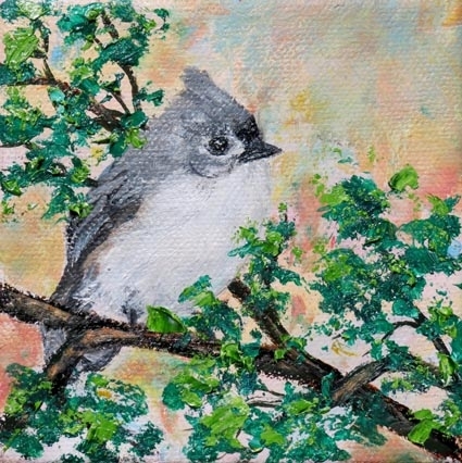 Lucinda Sayre - Miniature Bird Paintings - Tufted titmouse 2