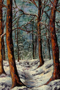Winter Woodlands